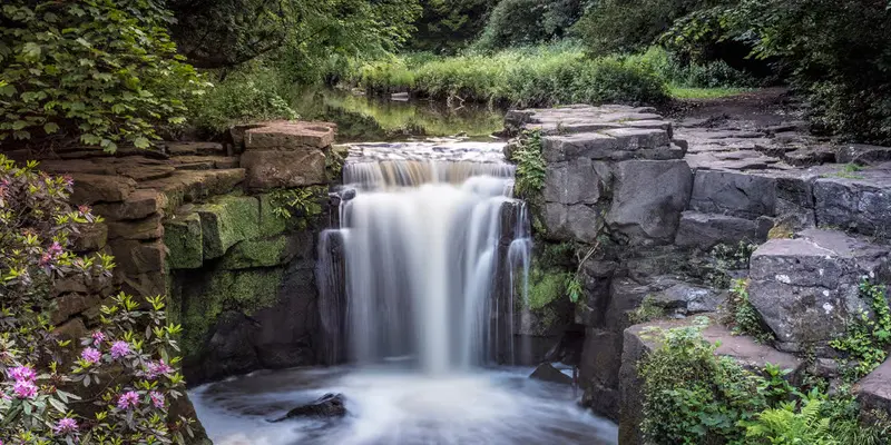 Waterfall in the lush woods of Jesmond Dene