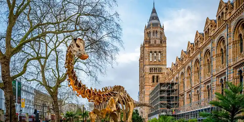 Natural History Museum