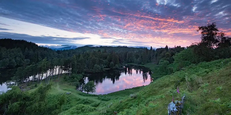 Tarn Hows scenic lake