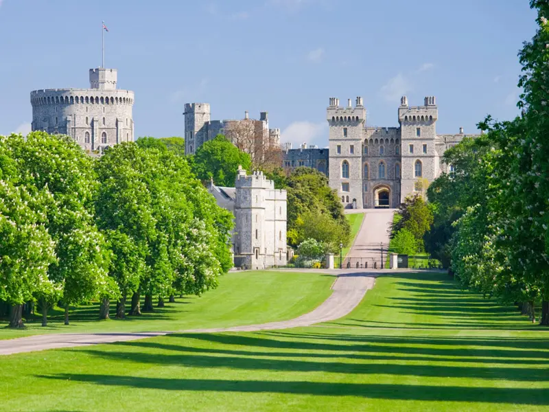 The tree lined Long Walk leading to the castle