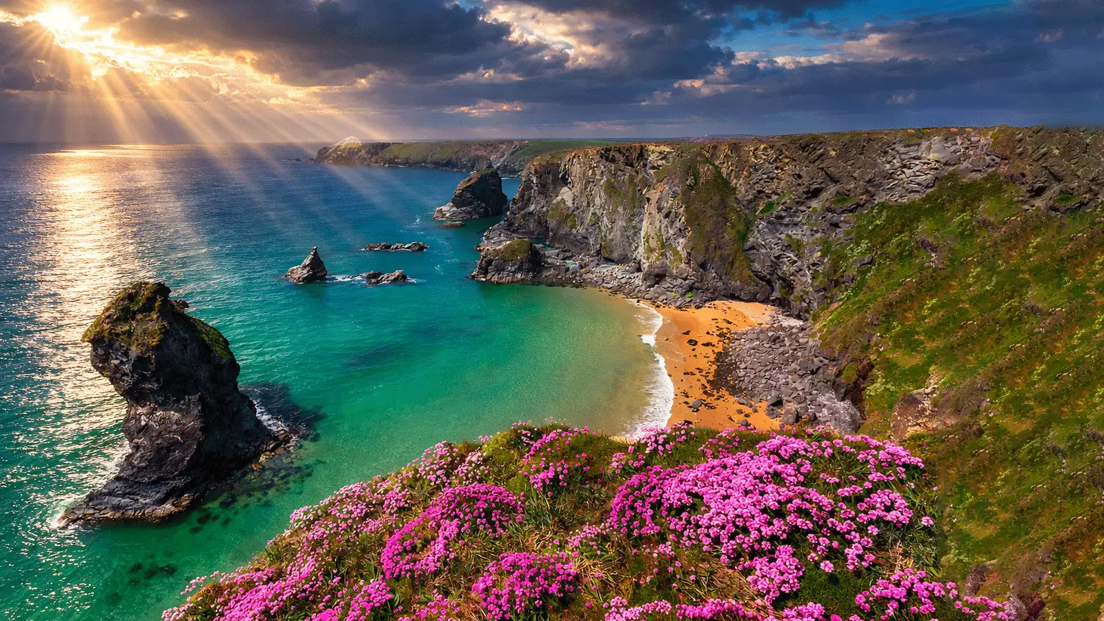 Sunset over a rugged Cornwall coastline with turquoise sea, rocky cliffs, a sandy cove and pink wildflowers in the foreground