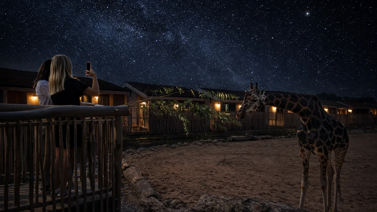 Chester Zoo Visitor Guide Banner featuring wildlife and the zoo grounds