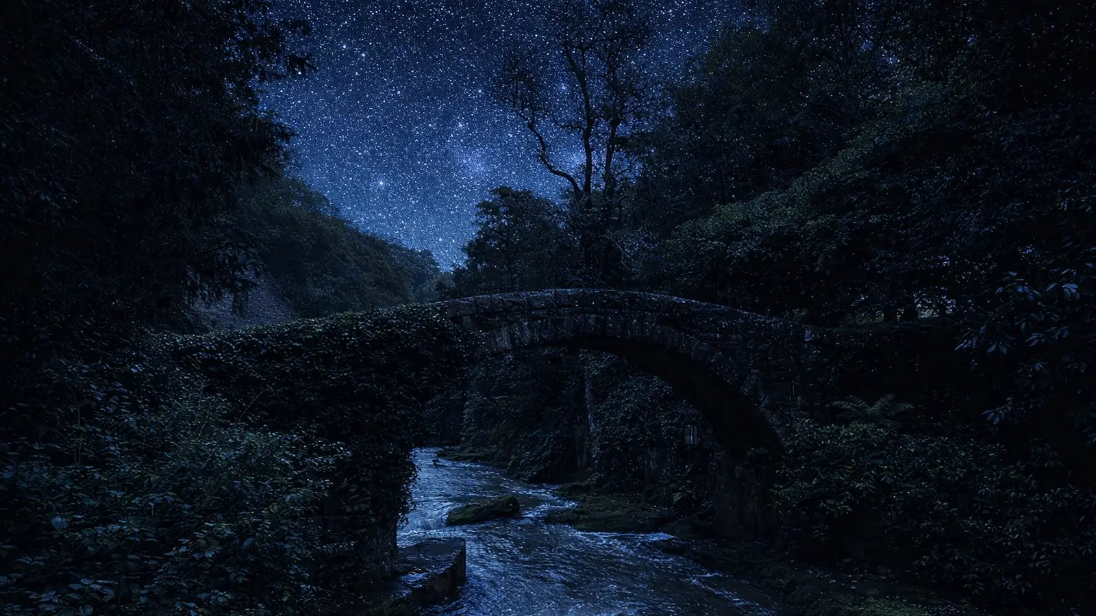 Jesmond Dene Visitor Guide Banner featuring the wooded valley and river